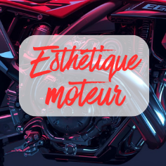 Esthétique moteur