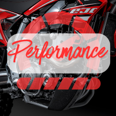 Performance / Admission